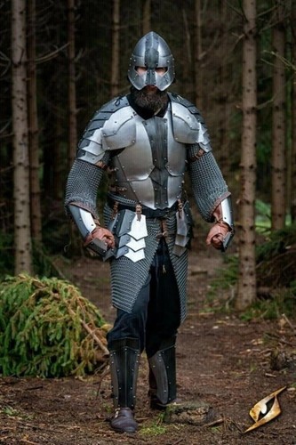Medieval knight warrior suit - knight,